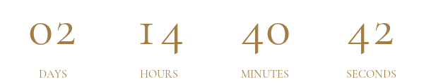 Countdown Timer