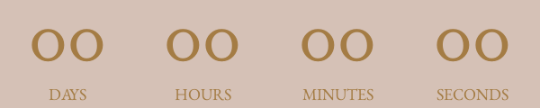 Countdown Timer
