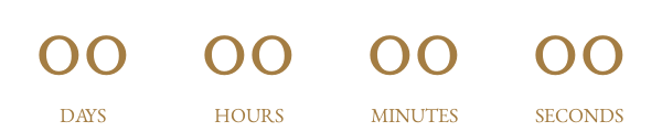 Countdown Timer