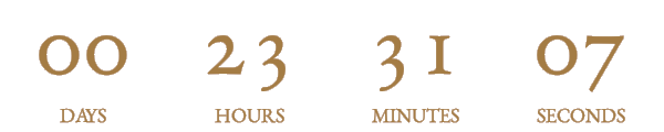 Countdown Timer