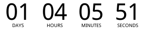 Countdown Timer