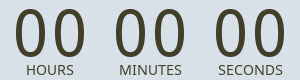 Countdown Timer