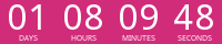 Countdown Timer
