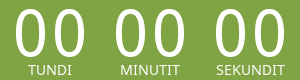 Countdown Timer