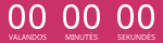 Countdown Timer