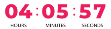 Countdown Timer
