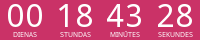 Countdown Timer