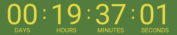 Countdown Timer