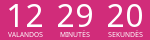 Countdown Timer