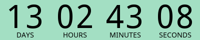 Countdown Timer