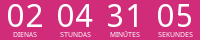 Countdown Timer