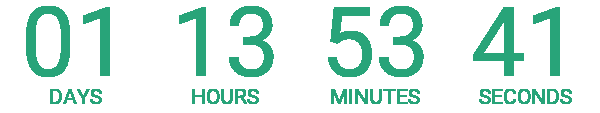 Countdown timer: This special offer ends on 08/10/2026 11:59 PM Lisbon
