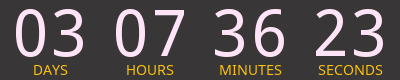 Countdown Timer