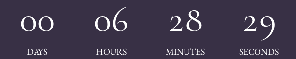 Countdown Timer