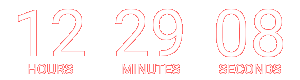 Countdown Timer