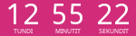 Countdown Timer