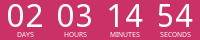 Countdown Timer