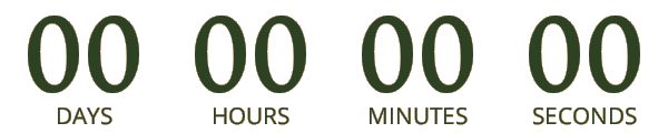 Just Hours Left to Save!