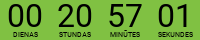 Countdown Timer