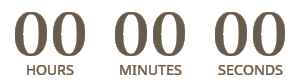 Countdown Timer