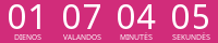 Countdown Timer
