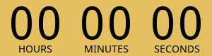 Countdown Timer