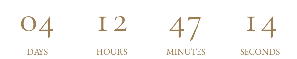 Countdown Timer
