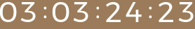 Countdown Timer