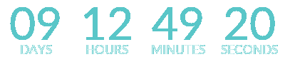 Countdown to StitchFEST Live