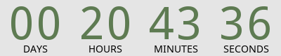 Countdown Timer